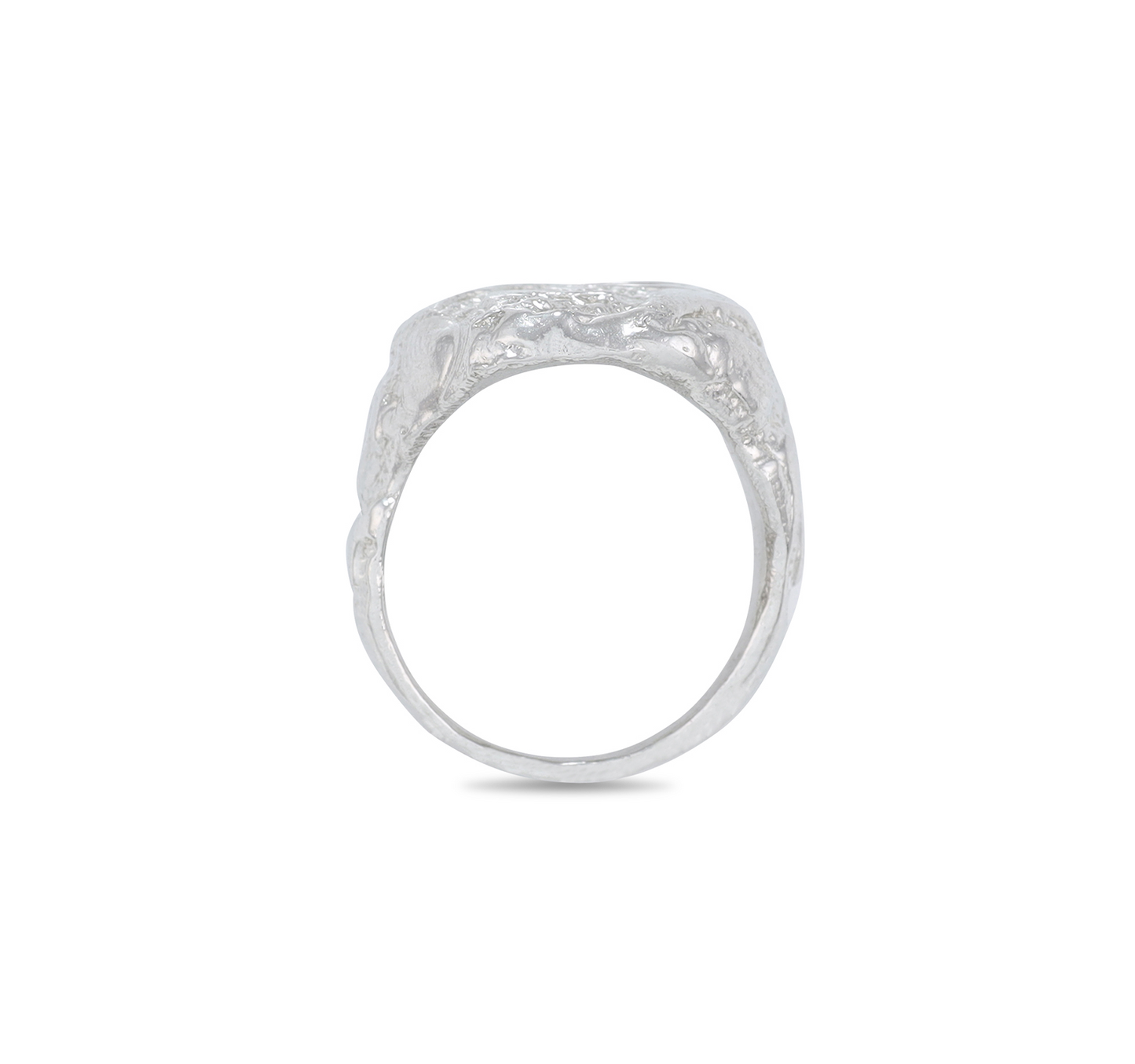 Silver Vermithor- Ring