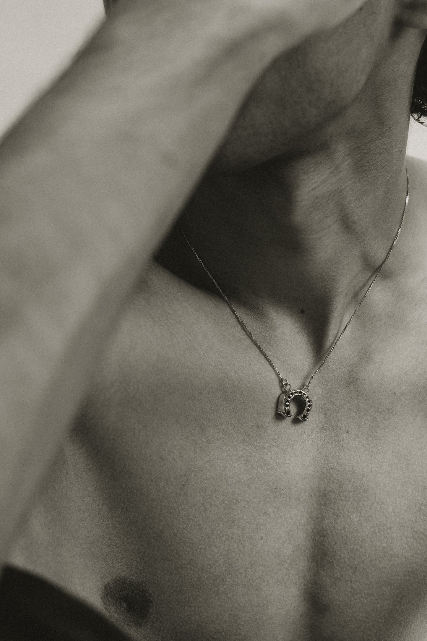 Horse Shoe Necklaces